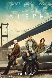 Aleph 2020 Season 1 Hindi Complete 23351 Poster.jpg