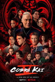 Cobra Kai 2022 Season 5 Hindi Complete 24139 Poster.jpg